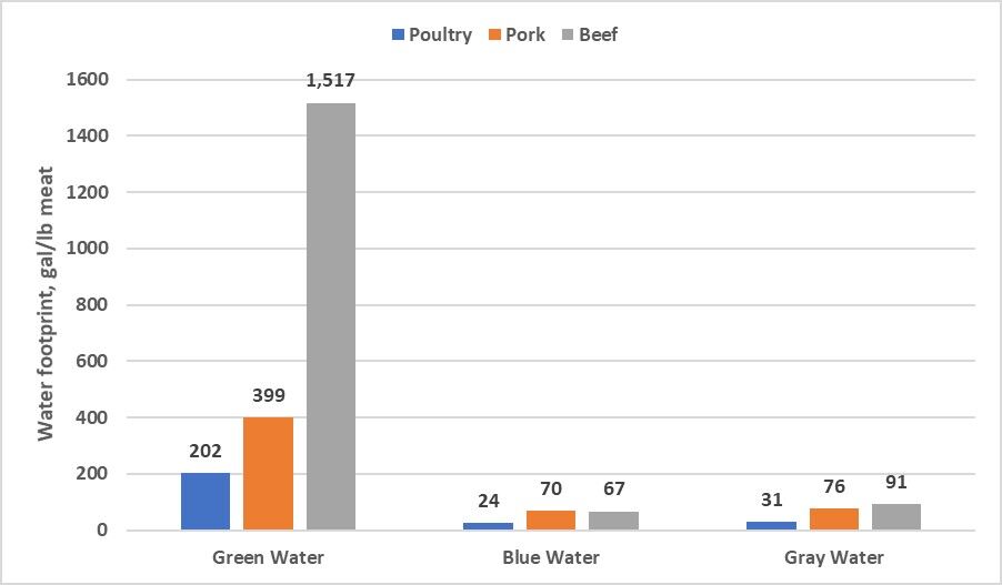 Chart Water Footprint